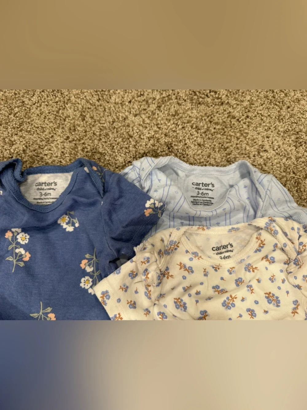 Carters three carter